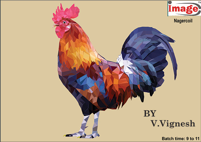 Graphic Design Graphic Design