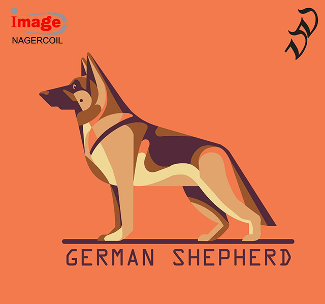 Graphic Design Graphic Design