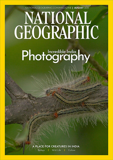 Graphic Design Graphic Design