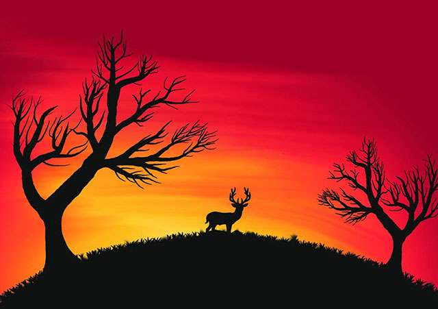 Graphic Design Graphic Design