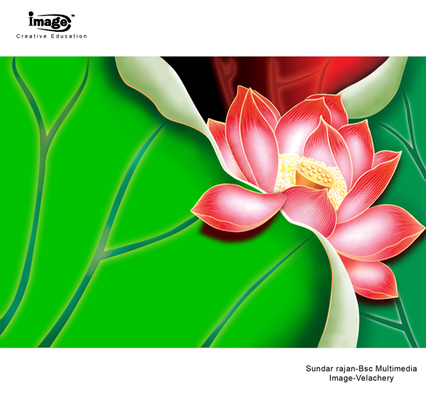 Graphic Design Graphic Design