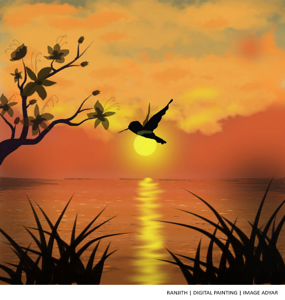 Graphic Design Graphic Design