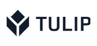 Tulip Tulip